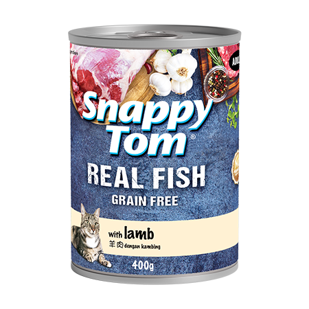 Snappy Tom Lamb